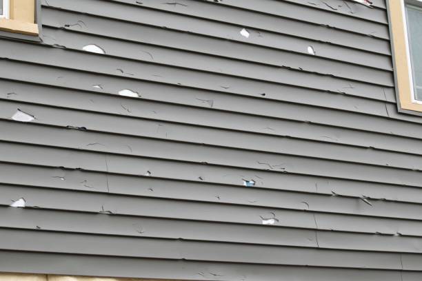 Best Same-Day Junk Removal Services  in Agua Dulce, TX